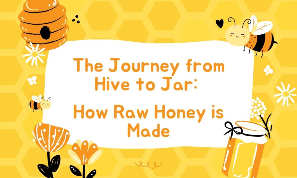 The Journey from Hive to Jar How Raw Honey is Made - Raw Honey - Haritved Foods